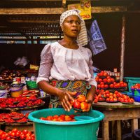 woman-holding-tomatoes-3213283